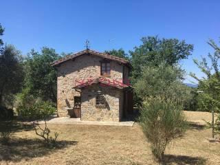 Rustico Poggi del Sasso, Poggi Del Sasso, Cinigiano — foto 40 di 50