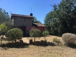 Rustico Poggi del Sasso, Poggi Del Sasso, Cinigiano — foto 18 di 50