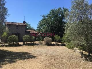 Rustico Poggi del Sasso, Poggi Del Sasso, Cinigiano — foto 6 di 50