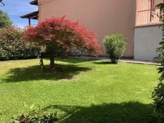 Villa bifamiliare via 25 Aprile, Bioglio — foto 94 di 98