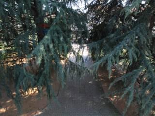 Villa bifamiliare via I maggio 64, Centro, Ceriano Laghetto — foto 30 di 64