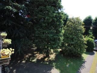 Villa bifamiliare via I maggio 64, Centro, Ceriano Laghetto — foto 4 di 64