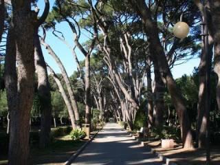 Villa unifamiliare via Bengasi, 52, Castiglioncello, Rosignano Marittimo — foto 28 di 36