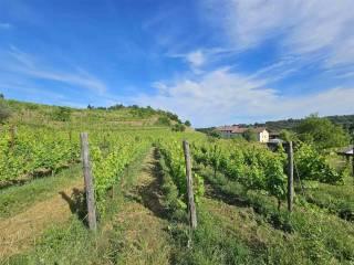 Villa bifamiliare via zimone  24, Salussola — foto 10 di 27