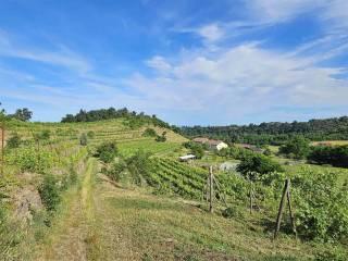 Villa bifamiliare via zimone  24, Salussola — foto 8 di 27