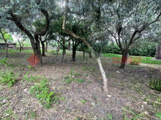 Villa unifamiliare via Monte D'Oro, snc, Centro, Minturno — foto 6 di 28
