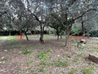 Villa unifamiliare via Monte D'Oro, snc, Centro, Minturno — foto 12 di 28