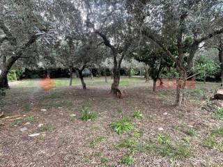 Villa unifamiliare via Monte D'Oro, snc, Centro, Minturno — foto 28 di 28