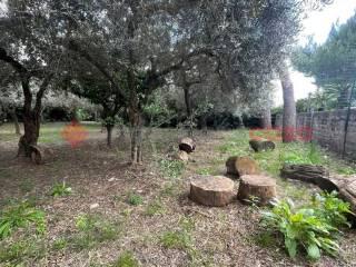 Villa unifamiliare via Monte D'Oro, snc, Centro, Minturno — foto 2 di 28