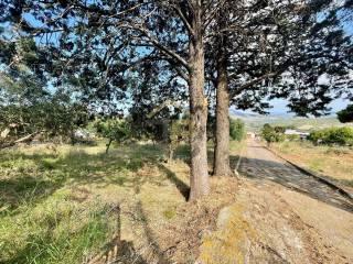 Villa unifamiliare Contrada Gagliardetta, Castellammare del Golfo — foto 10 di 39
