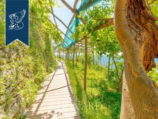 Villa unifamiliare, ottimo stato, 150 m², Maiori — foto 2 di 36