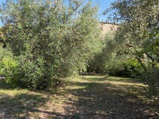Appartamento via Poggio Baldi, San Giovanni D'Asso, Montalcino — foto 16 di 31