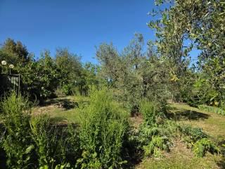 Appartamento via Poggio Baldi, San Giovanni D'Asso, Montalcino — foto 30 di 31