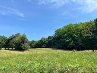 Appartamento via Ruggero Leoncavallo, Centro, Arzignano — foto 6 di 20