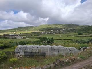 Villa unifamiliare via San Vito, Pantelleria — foto 13 di 65