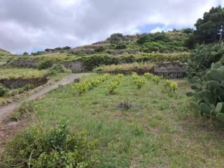 Villa unifamiliare via San Vito, Pantelleria — foto 65 di 65