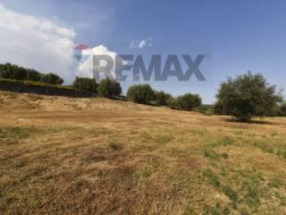Appartamento Contrada Agnelleria snc, Belpasso — foto 7 di 64