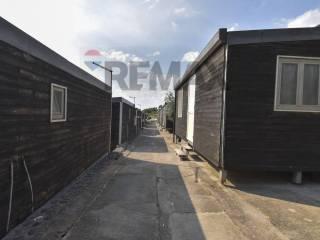 Appartamento Contrada Agnelleria snc, Belpasso — foto 47 di 64