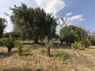 Appartamento Contrada Agnelleria snc, Belpasso — foto 40 di 64