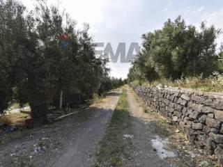 Appartamento Contrada Agnelleria snc, Belpasso — foto 61 di 64