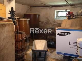 Casale via San Bartolo, Corinaldo — foto 16 di 19