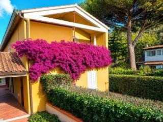 Quadrilocale via bagnaia, Bagnaia, Portoferraio — foto 18 di 18
