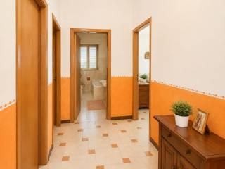 Villa unifamiliare contrada pelilla, Caltanissetta — foto 29 di 51