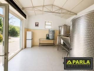 Villa unifamiliare contrada pelilla, Caltanissetta — foto 26 di 51