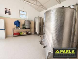 Villa unifamiliare contrada pelilla, Caltanissetta — foto 43 di 51