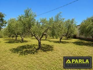 Villa unifamiliare contrada pelilla, Caltanissetta — foto 22 di 51