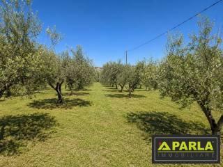 Villa unifamiliare contrada pelilla, Caltanissetta — foto 48 di 51