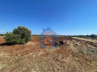 Villa unifamiliare via Balatelle, Campobello di Mazara — foto 3 di 16