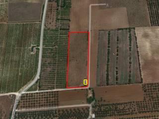 Villa unifamiliare via Balatelle, Campobello di Mazara — foto 14 di 16