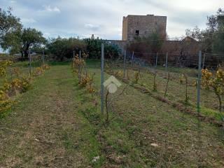 Rustico Contrada Ciavolo, Contrade Extraurbane, Marsala