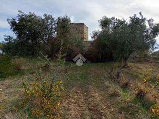 Rustico Contrada Ciavolo, Contrade Extraurbane, Marsala — foto 4 di 16