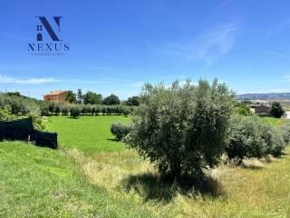 Trilocale buono stato, piano terra, Castelleone di Suasa — foto 19 di 23