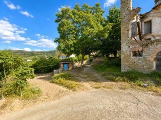 Rustico Località Robini, Santo Stefano Belbo — foto 18 di 19