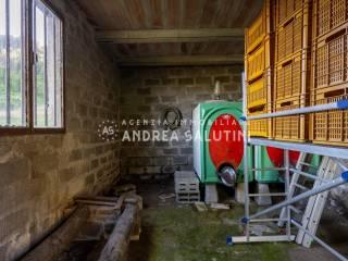 Terratetto unifamiliare via Sarzanese Valdera,  5, Cascine La Croce, Buti — foto 20 di 26