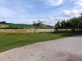 Casa colonica, da ristrutturare, 600 m², Borgo Minonna, Jesi — foto 18 di 33