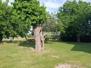 Casa colonica, da ristrutturare, 600 m², Borgo Minonna, Jesi — foto 5 di 33