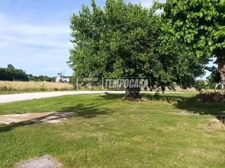 Casa colonica, da ristrutturare, 600 m², Borgo Minonna, Jesi — foto 21 di 33