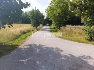 Casa colonica, da ristrutturare, 600 m², Borgo Minonna, Jesi — foto 27 di 33