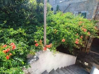 Terratetto plurifamiliare via Antia 8, Peagna, Ceriale — foto 25 di 35
