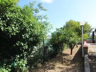 Terratetto plurifamiliare via Antia 8, Peagna, Ceriale — foto 3 di 35