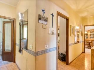 Appartamento viale 8 Marzo, Centro, Campiglia Marittima — foto 14 di 15