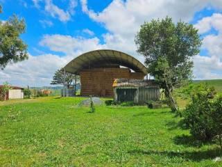 Rustico, buono stato, 450 m², Santa Luce — foto 4 di 33