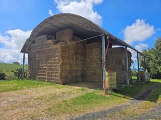 Rustico, buono stato, 450 m², Santa Luce — foto 31 di 33
