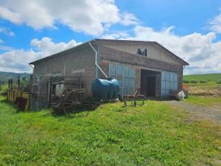 Rustico, buono stato, 450 m², Santa Luce — foto 17 di 33