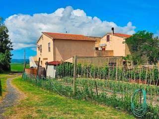Rustico, buono stato, 450 m², Santa Luce — foto 16 di 33