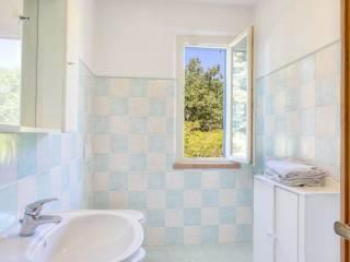 Rustico, ottimo stato, 375 m², Riparbella — foto 7 di 29